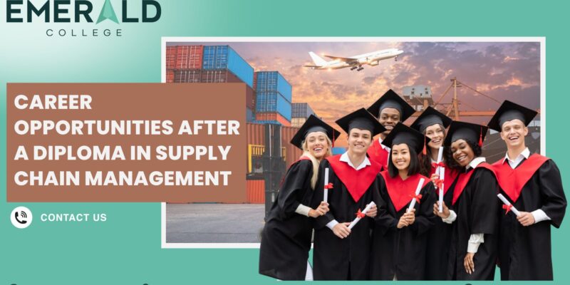 diploma in supply chain management